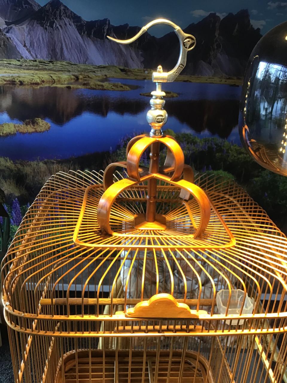 Zangkooi voor b v shamalijster