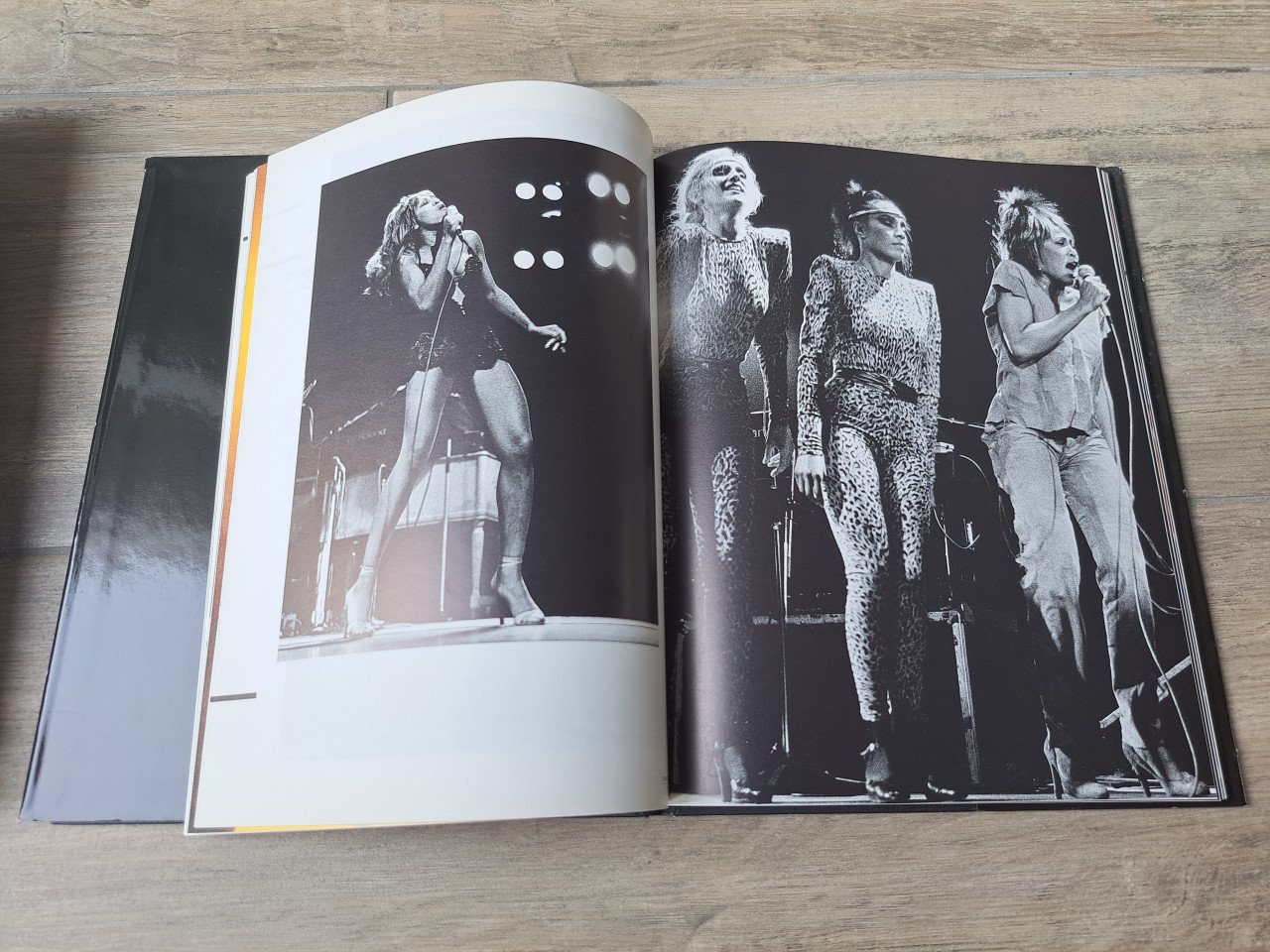 Tina Turner Simply the best van Louis Du Moulin