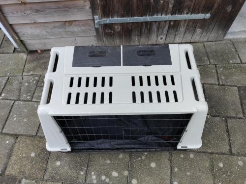 Autokennel voor de hond groot