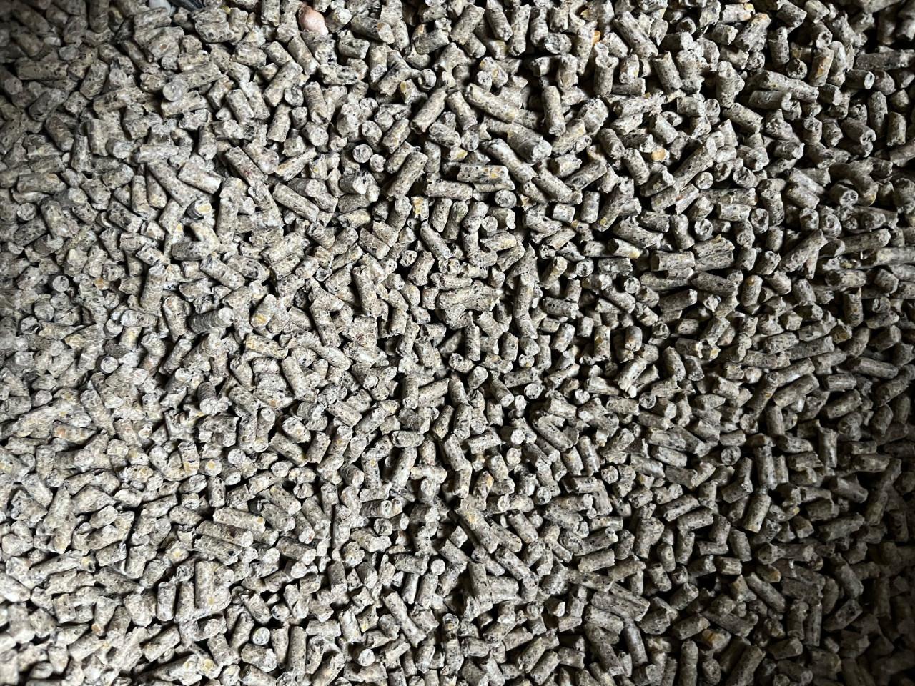 Legkorrel of gemengd graan