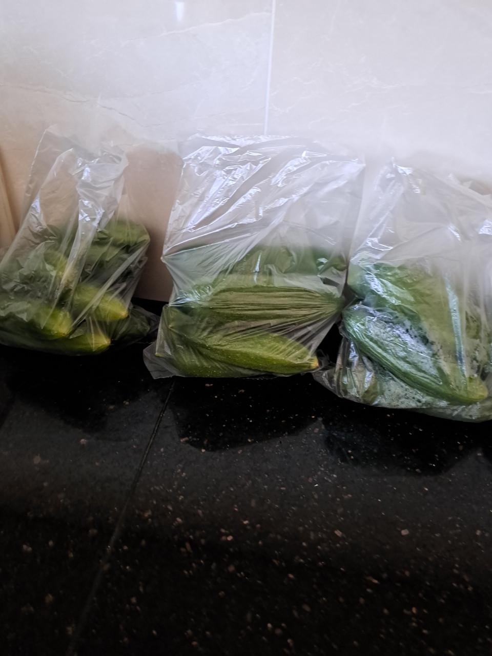 Snack komkommer en gewone komkommers