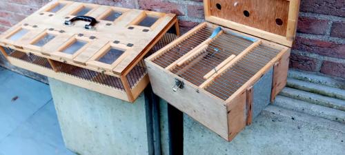 2 transport vogelkooien