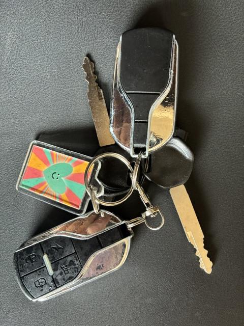 GEEN RIJBEWIJS ? NIET NODIG MET DEZE STOERE NIPPONIA PRIDE !