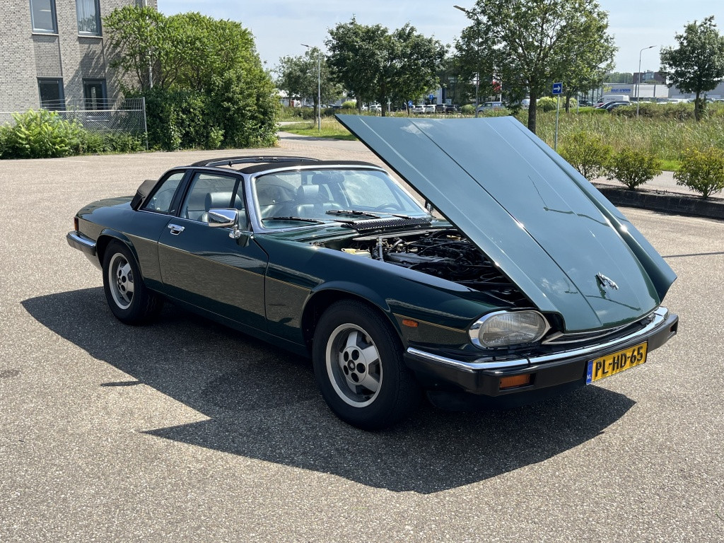 Jaguar Xj xjs-c 5.3 v12 targa