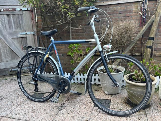 Gazelle Bahia herenfiets