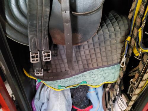 Diverse dekjes longeer lijnen