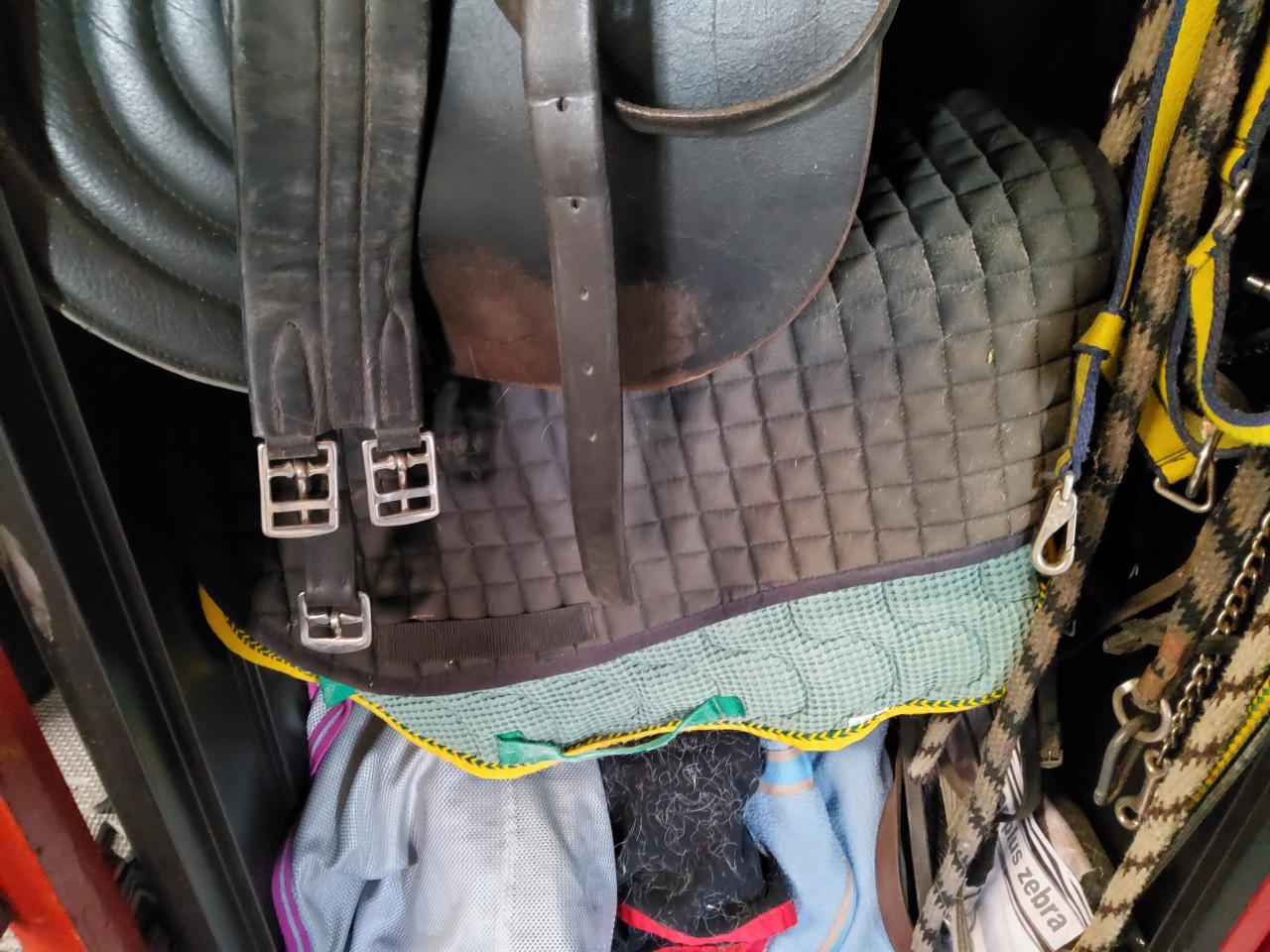 Diverse dekjes longeer lijnen