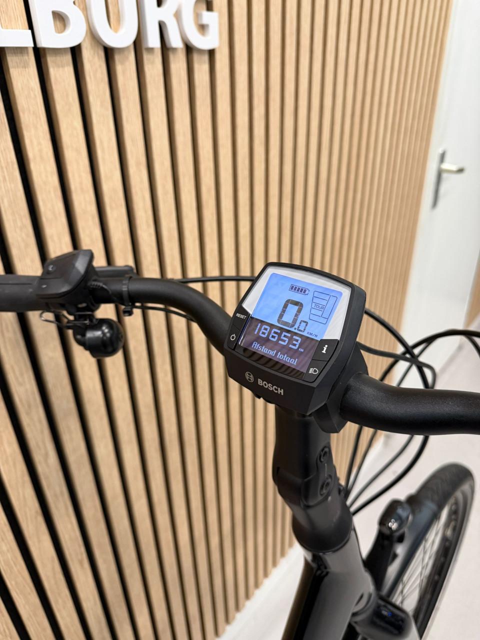 Koga Nova Evo Bosch Active Line Plus 53CM 500Wh Belt