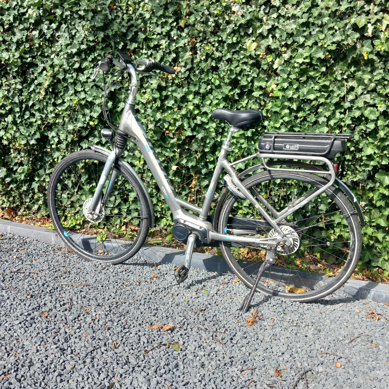 Elektrische damesfiets Giant