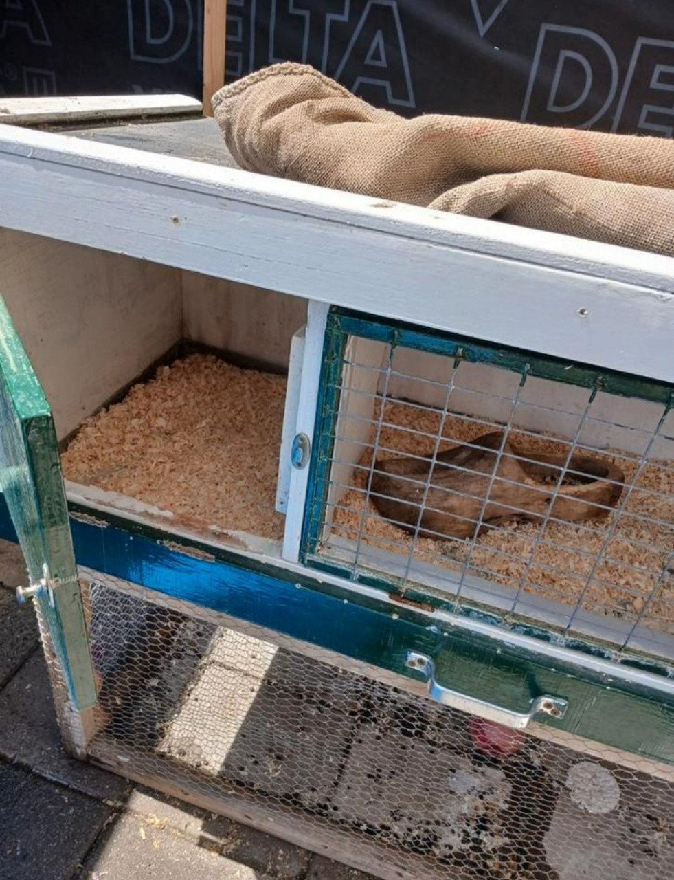 Konijnen hok met ren