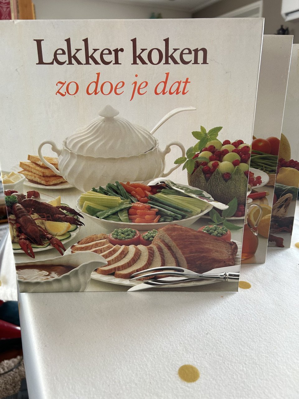 Reeks Kookboeken; Lekker koken, zo doe je dat.