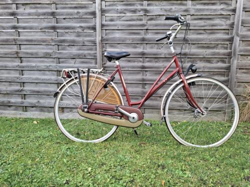 Fiets: Union opknapfiets