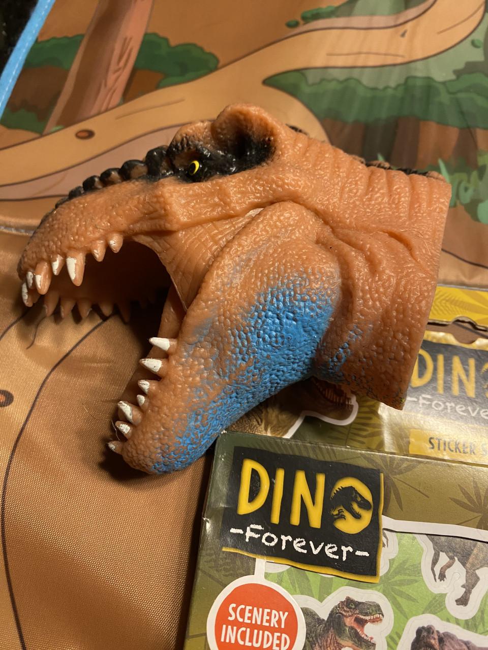 Dinosaurussen incl opberg bak met speelmat