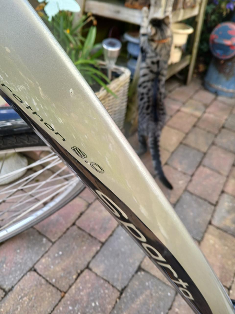Damesfiets