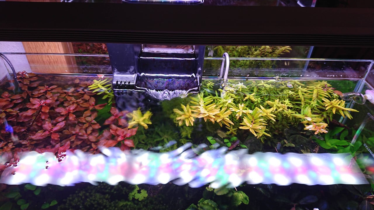 60p Aquarium compleet met CO2