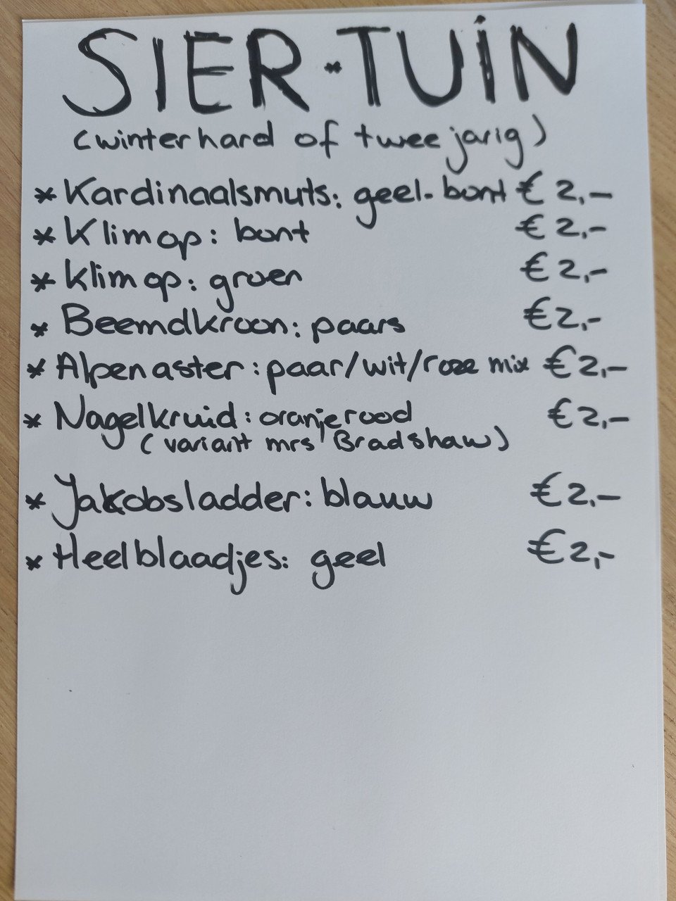 TOMATEN PLANTEN EN SIERTUIN PLANTEN BIJ DE VOORDEUR + bomen