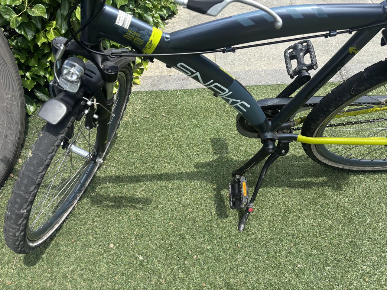 Batavus snake 26 inch