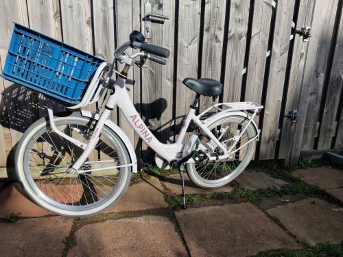 Meisjesfiets 22 inch Alpina