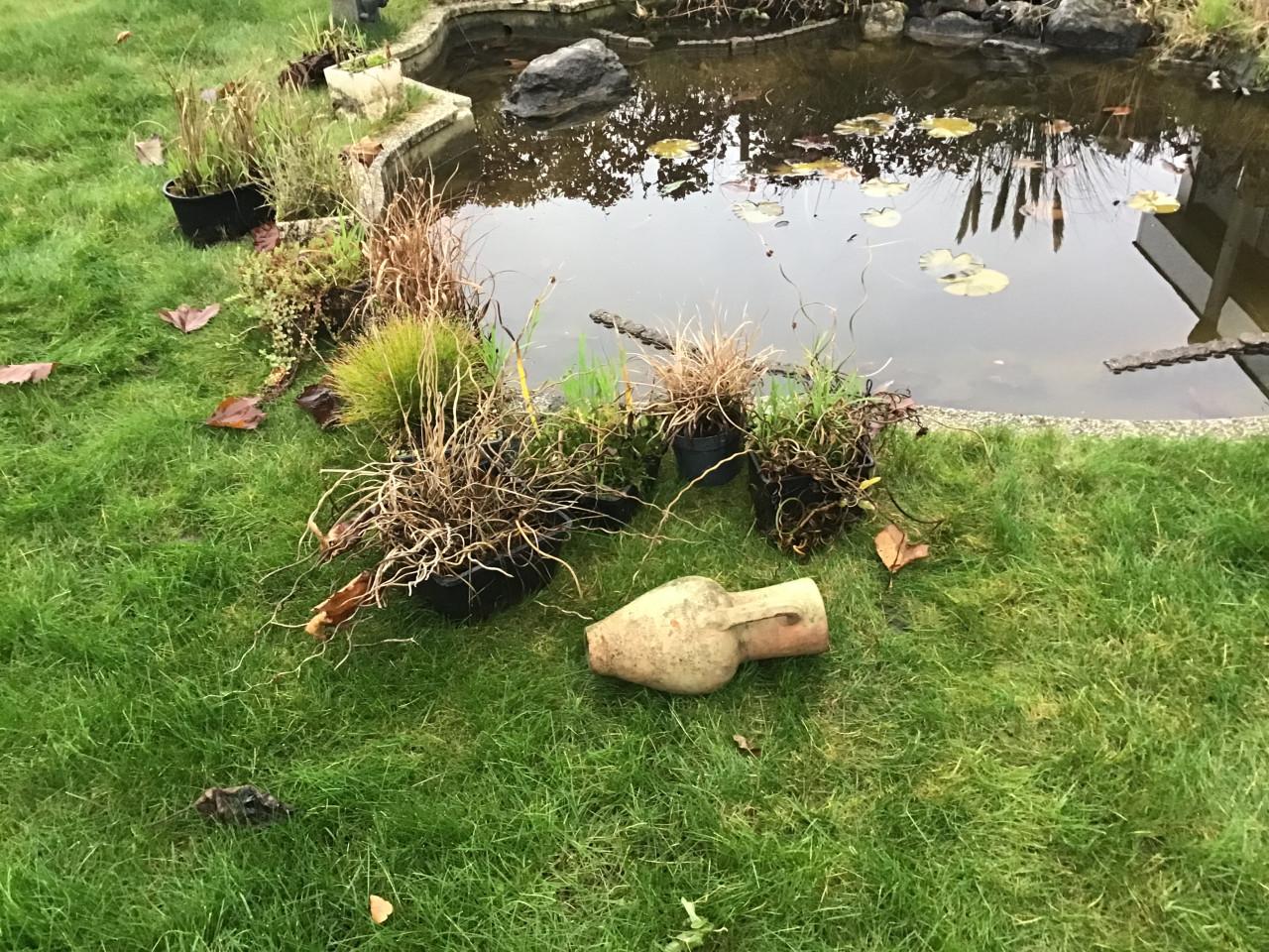 Vijverstenen, vijverplanten , kruik, etc