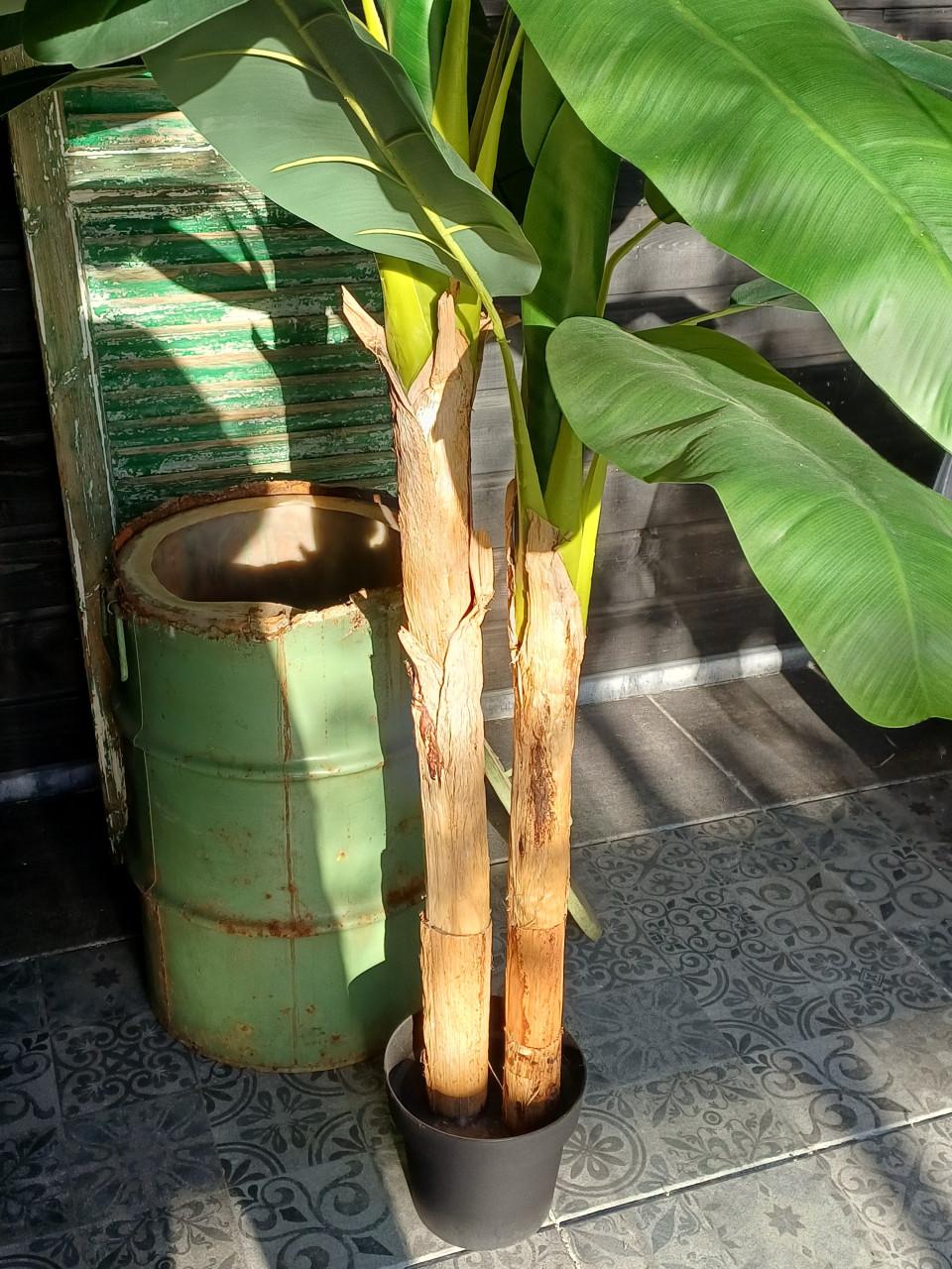 Grote kunst bananenplant