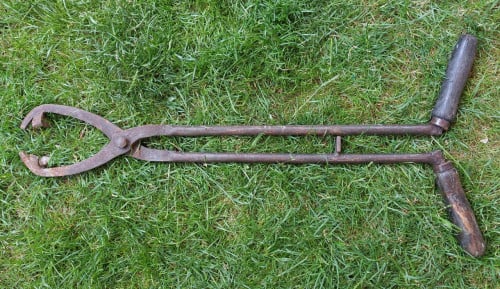 Suikerbietentang