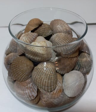 Schelpen in decoratieve glazen potten