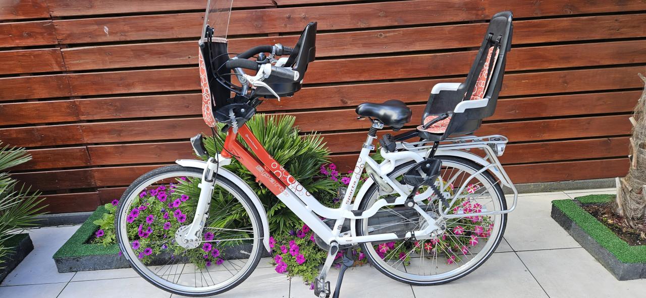 Sparta Amazone Dynamic Moederfiets