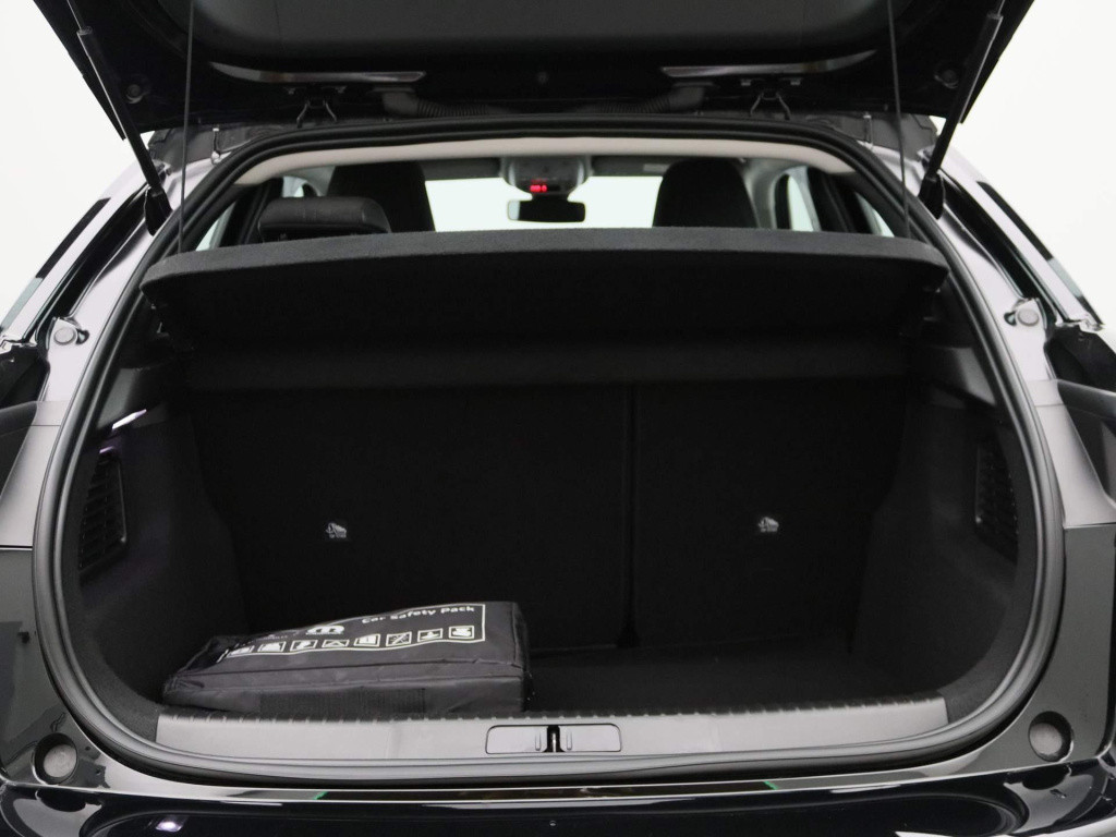 Ds Ds 3 e-tense performance line 54 kwh | parkeersensoren | apple carplay/a