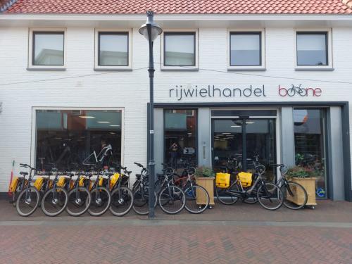 Verhuur van Gazelle E-bike's en stadsfietsen!