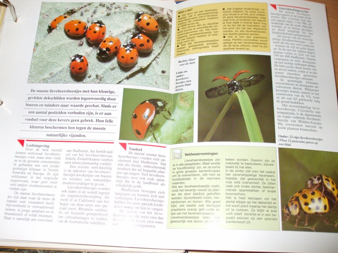 Te koop naslagwerk over dieren.