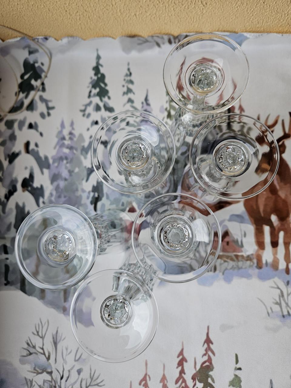 Champagne glazen 6 stuks