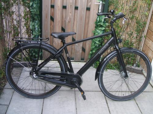 PAGESUS JONGENSFIETS