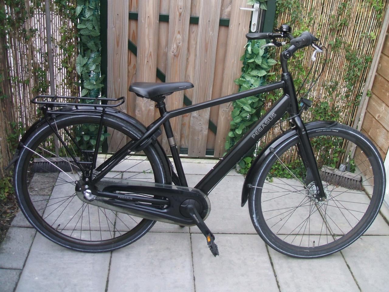 PAGESUS JONGENSFIETS