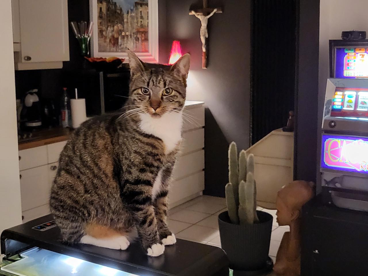 Te huur gevraagd omgeving aardenburg