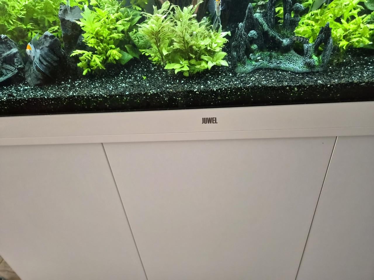 Juwel rio 450