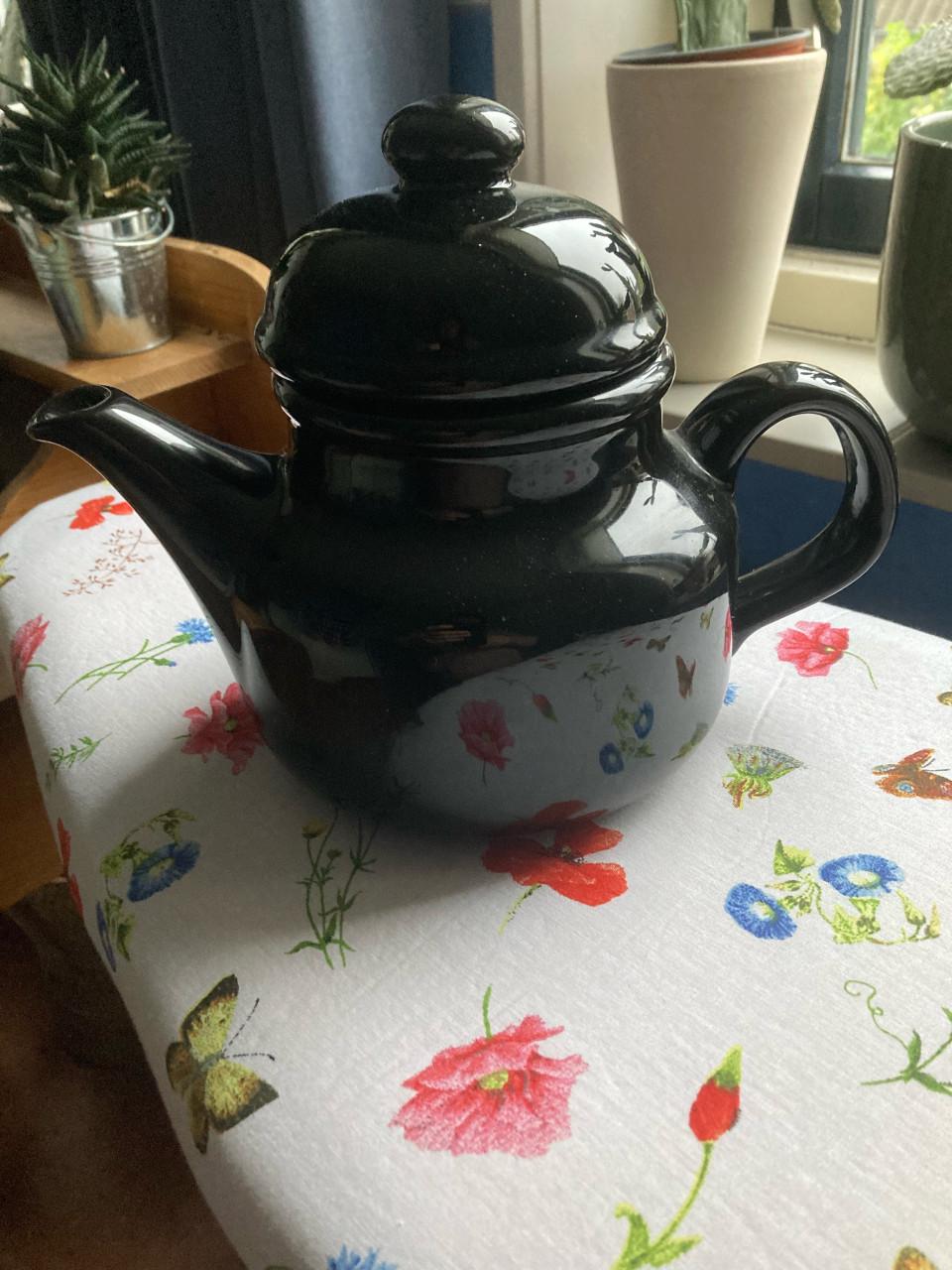 Te koop in Terneuzen 2 theepotten en 1 thermoskan.