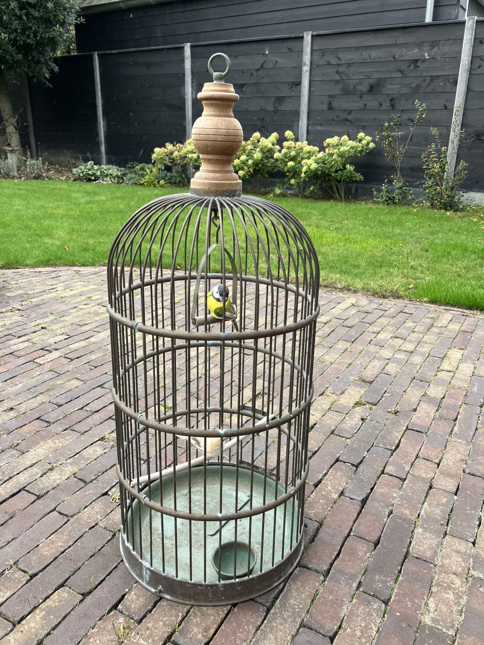 Vogelkooi decoratief