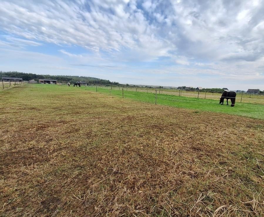 Wei met stal te koop