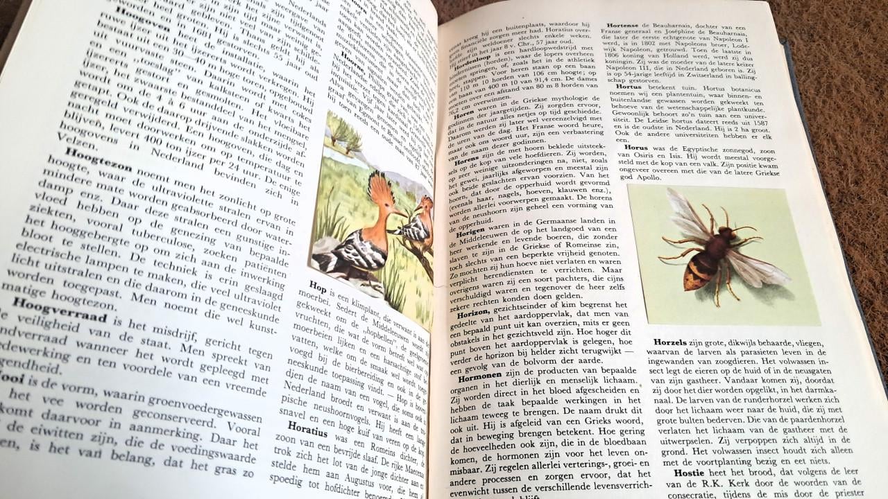 Boek ik weet het Blue Band plaatjes verzamelboek uit 1954