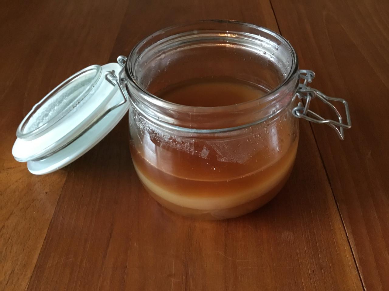 Kombucha zwam met starter te koop