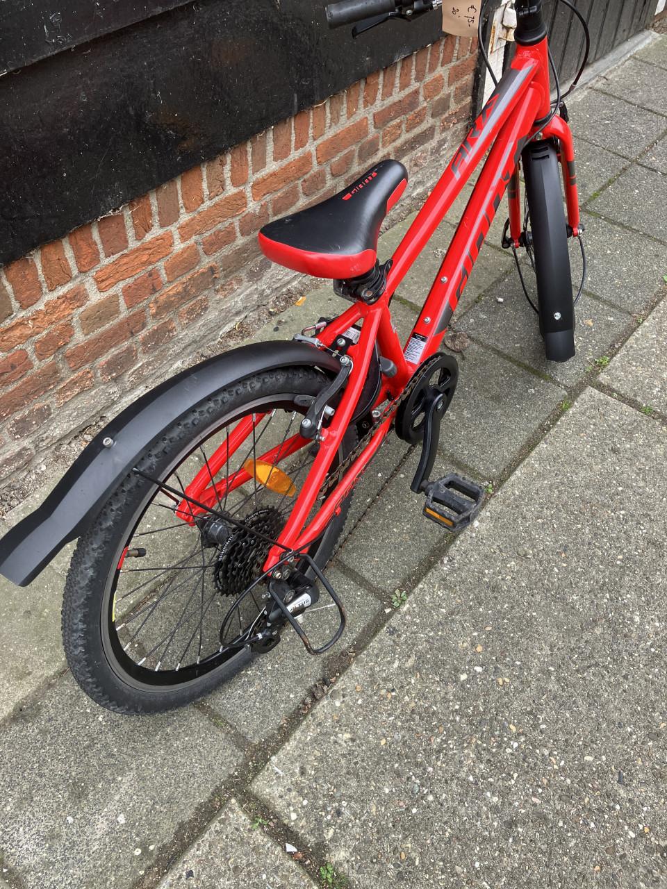 Giant Mountainbike 20 Inch
