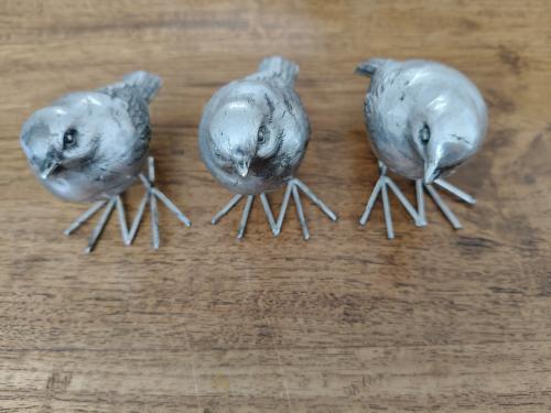 Vogeltjes