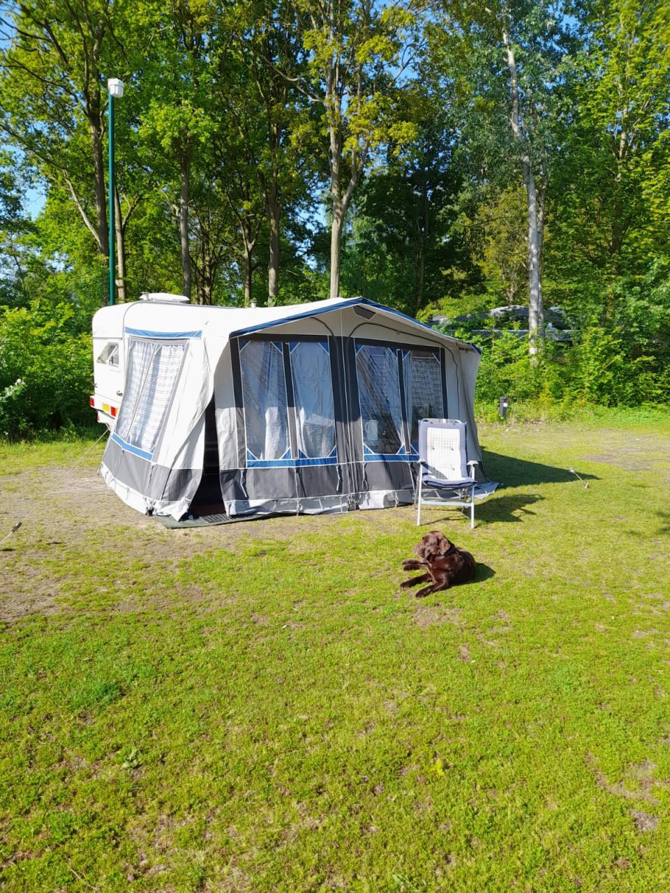 Caravan Chateau 908 1993