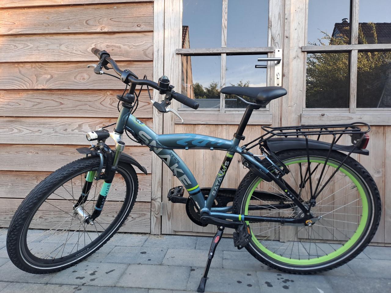 Batavus snake 24"