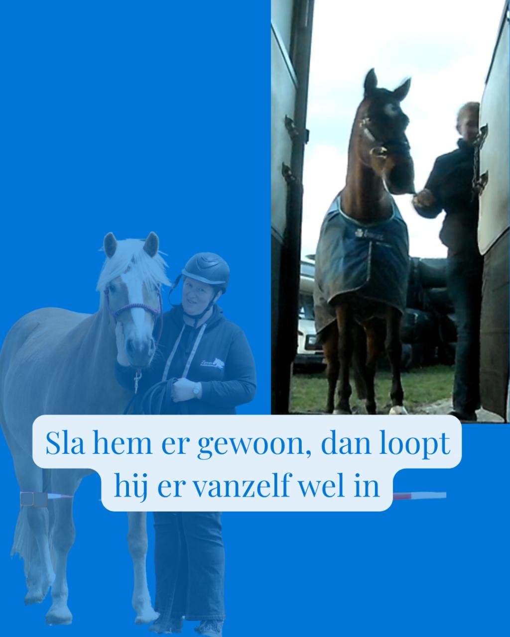 Hulp voor je paard of voor jou.....ik kijk naar jullie samen