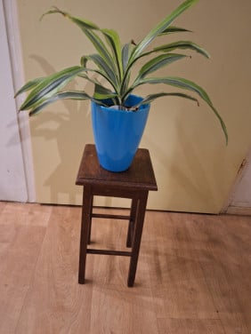 Laag plantetafeltje