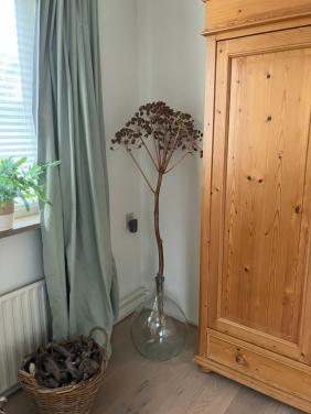 Gedroogde tak Engelwortel 140 cm zonder vaas