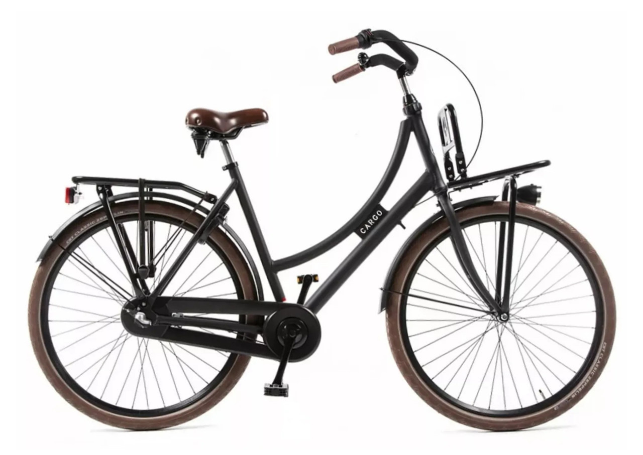 Nieuwe Avalon 2025 Cargo Damesfiets 50cm Remnaaf 3 versnellingen