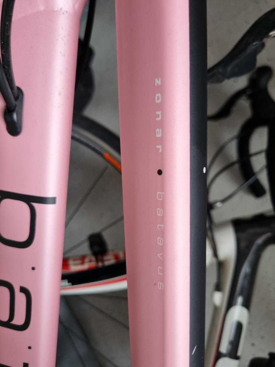 Batavus Zonar hybride damesfiets