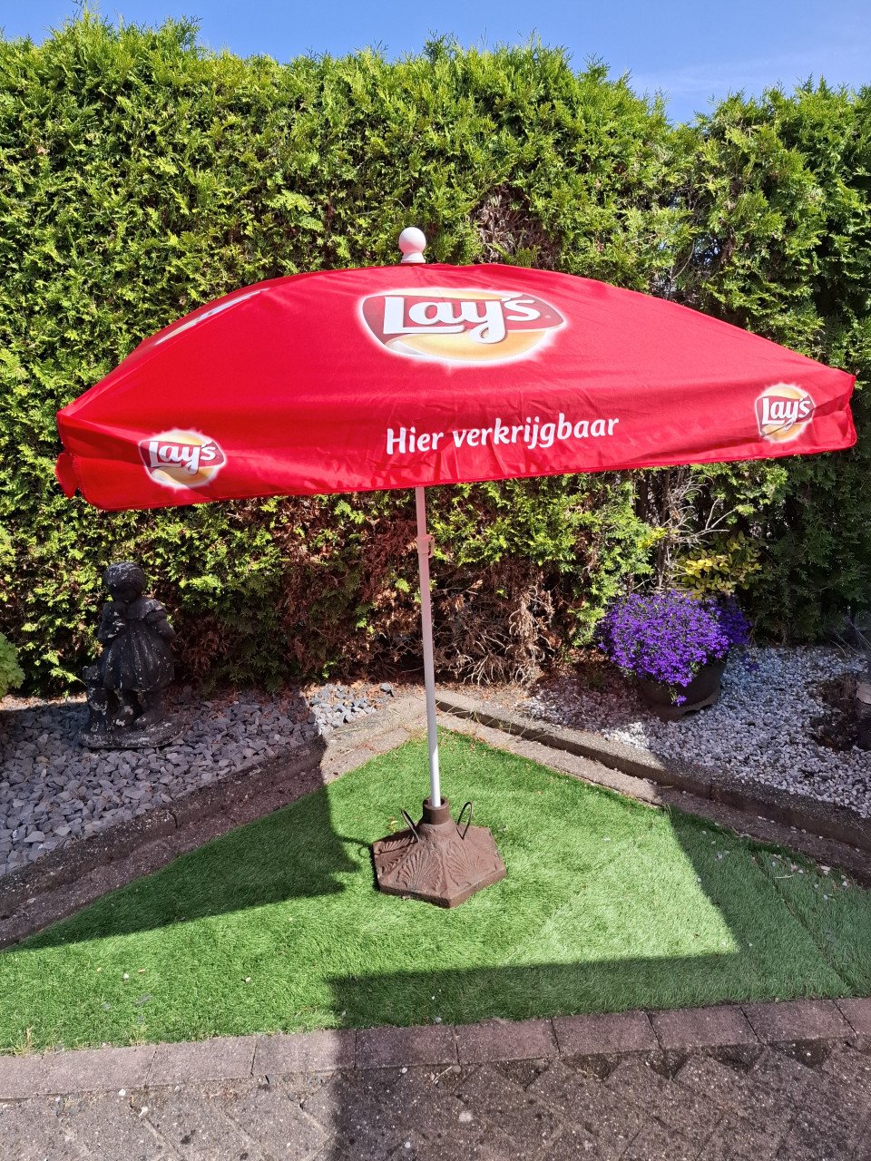 Parasol lays